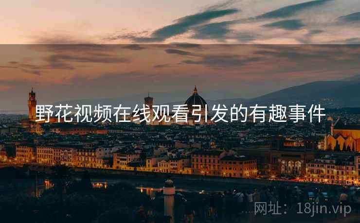 野花视频在线观看引发的有趣事件