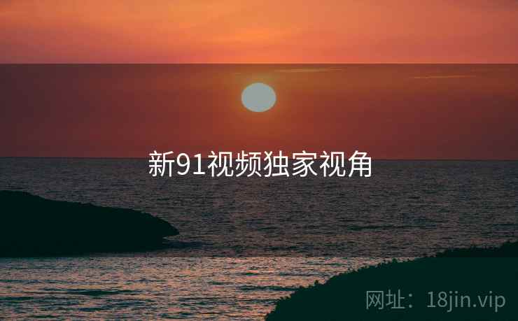 新91视频独家视角