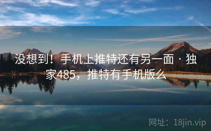 没想到！手机上推特还有另一面 · 独家485，推特有手机版么