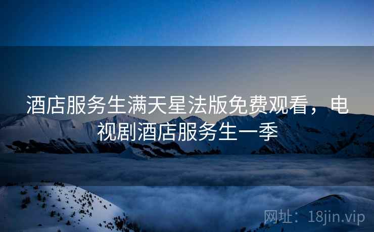 酒店服务生满天星法版免费观看，电视剧酒店服务生一季