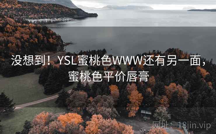 没想到！YSL蜜桃色WWW还有另一面，蜜桃色平价唇膏