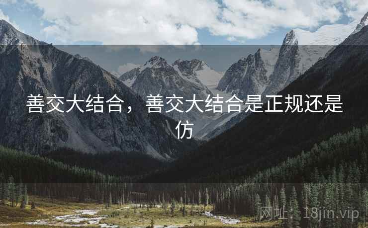 善交大结合，善交大结合是正规还是仿