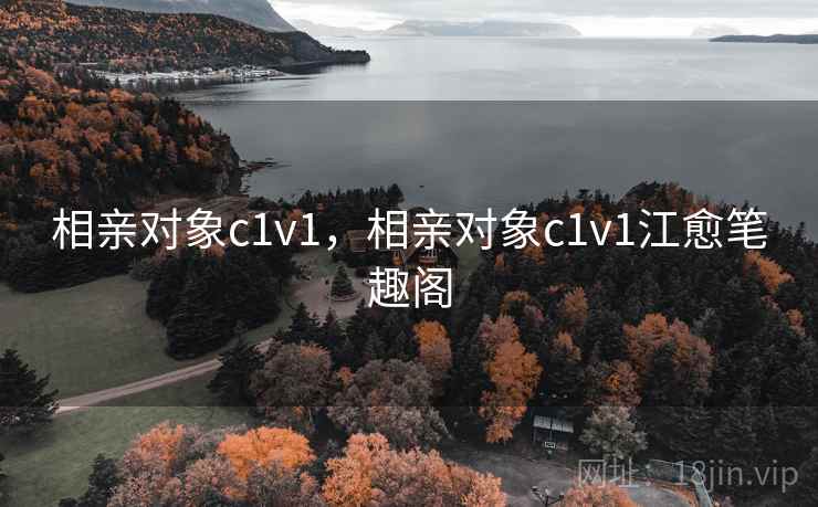 相亲对象c1v1，相亲对象c1v1江愈笔趣阁